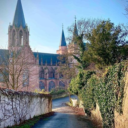 Schoenster Blick Auf Oppenheim! Eksteriør bilde